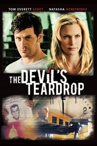 Download The Devil’s Teardrop (2010) Dual Audio {Hindi-English} Esubs WEB-DL 480p [293MB] || 720p [855MB] || 1080p [1.8GB]
