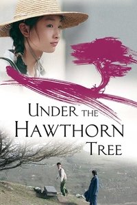 Download Under the Hawthorn Tree (2010) {Chinese With Subtitles} BluRay 480p [335MB] || 720p [1GB] || 1080p [2GB]