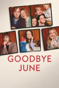 Download Goodbye June (2025) Dual Audio (Hindi-English) Msubs Web-Dl 480p [390MB] || 720p [1GB] || 1080p [2.5GB]