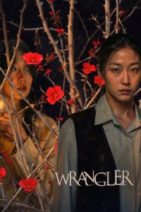 Download Wrangler (2026) Dual Audio (Hindi-Korean) Esubs WEB-DL 480p [350MB] || 720p [970MB] || 1080p [2.2GB]