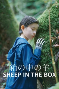 Download Sheep in the Box (2026) (Japanese Audio) Esubs WEB-DL 480p [380MB] || 720p [1020MB] || 1080p [2.4GB]